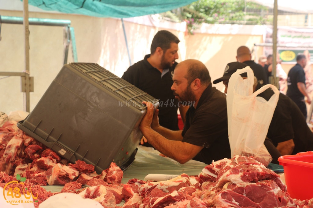 ada7y forthei (18).JPG